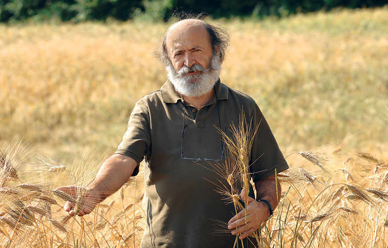 The Montebello Cooperative. Organic By Nature